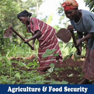 Agriculture-and-food-security-1