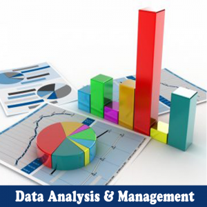 Data-analysis-and-management-1
